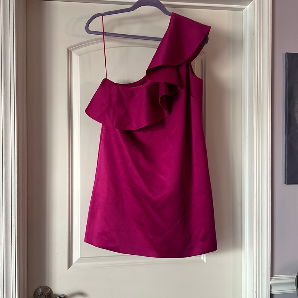 New Anthropologie X Hitherto One Shoulder Ruffle Silk Dress - Size 10
